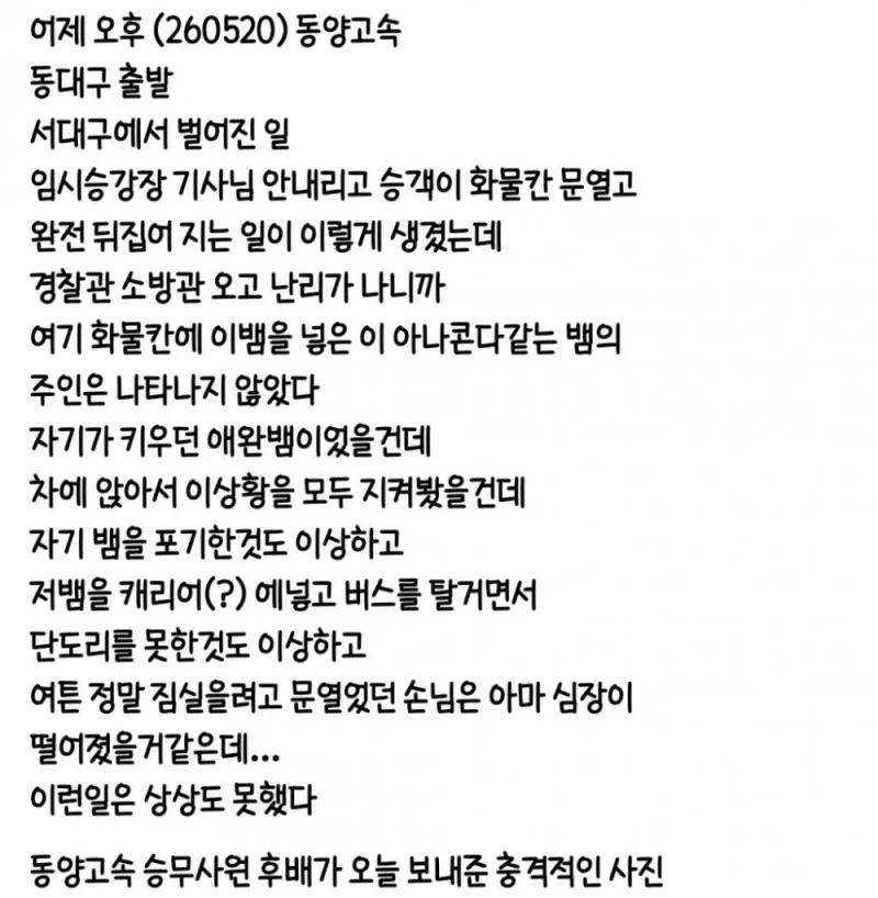 (약혐) 3일 전 서대구 터미널 뒤집어짐