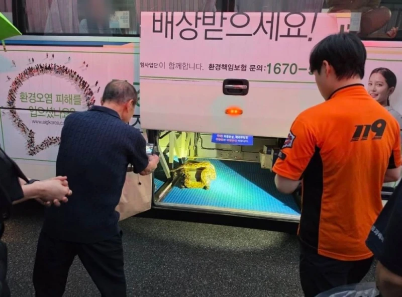 (약혐) 3일 전 서대구 터미널 뒤집어짐-3