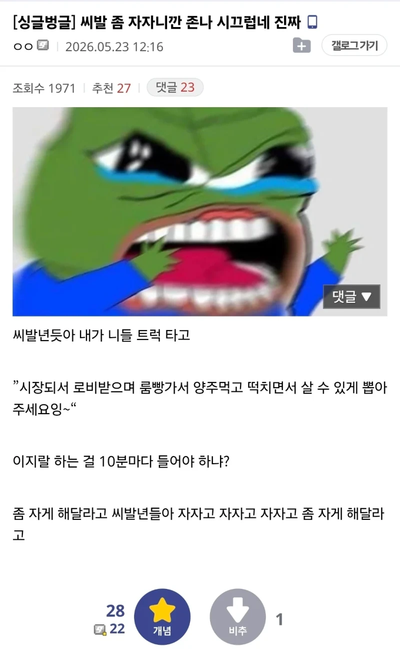 선거철에 잠못자서 개빡친 디시인