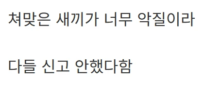 폭행사건 터진 코스프레 행사장-4