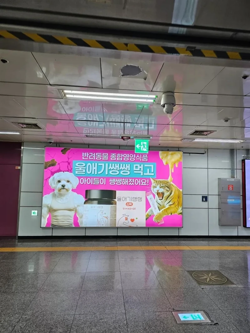 반려견 영양제 광고 수준 ㄷㄷ-2