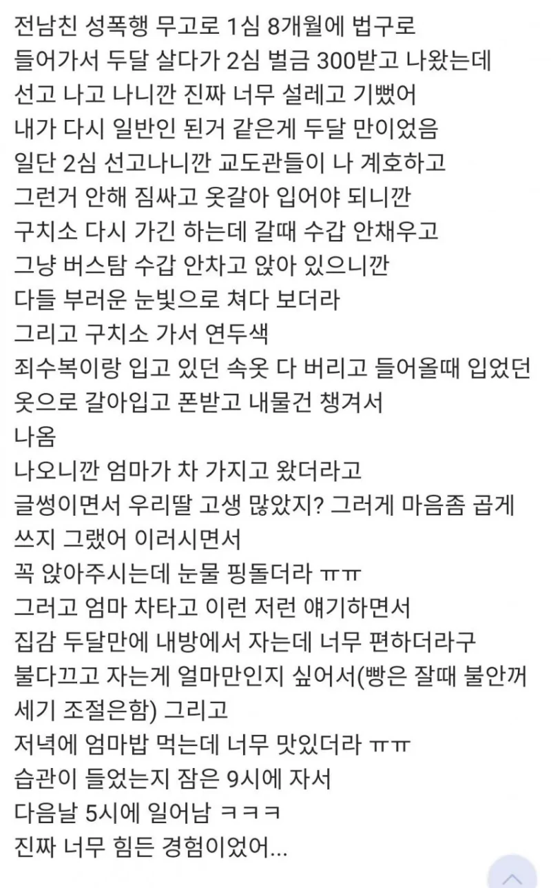 징역 갤러리 무고녀 출소 후기