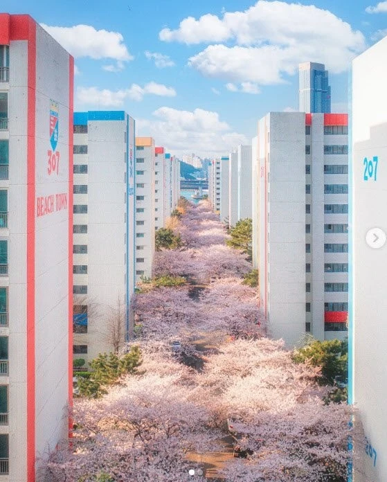 80년대 지은 대단지 아파트 특징