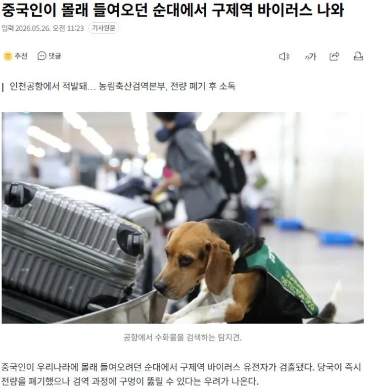 몰래 들여오던 순대에서 구제역 바이러스 나와