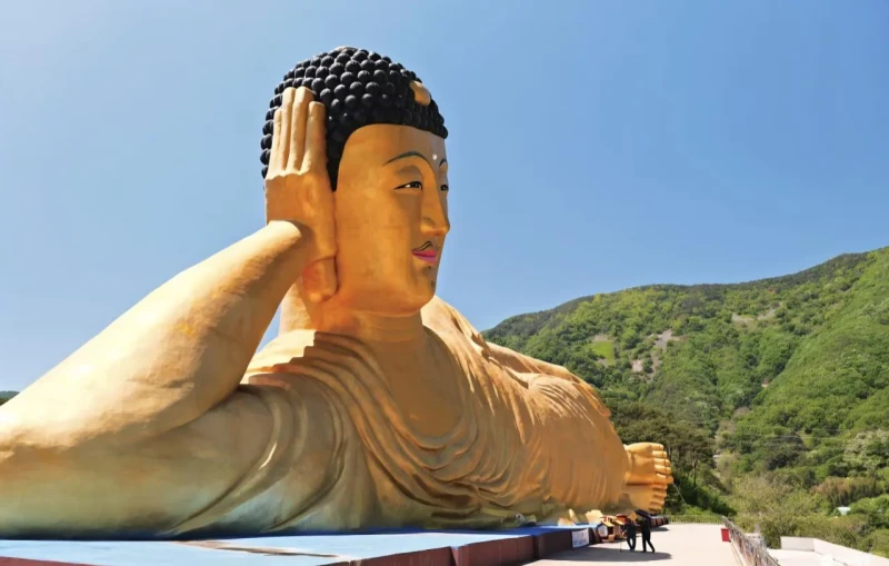 의외로 한국에 존재한다는 세계 최대 규모의 황금빛 와불상-2