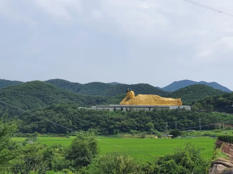 의외로 한국에 존재한다는 세계 최대 규모의 황금빛 와불상-8