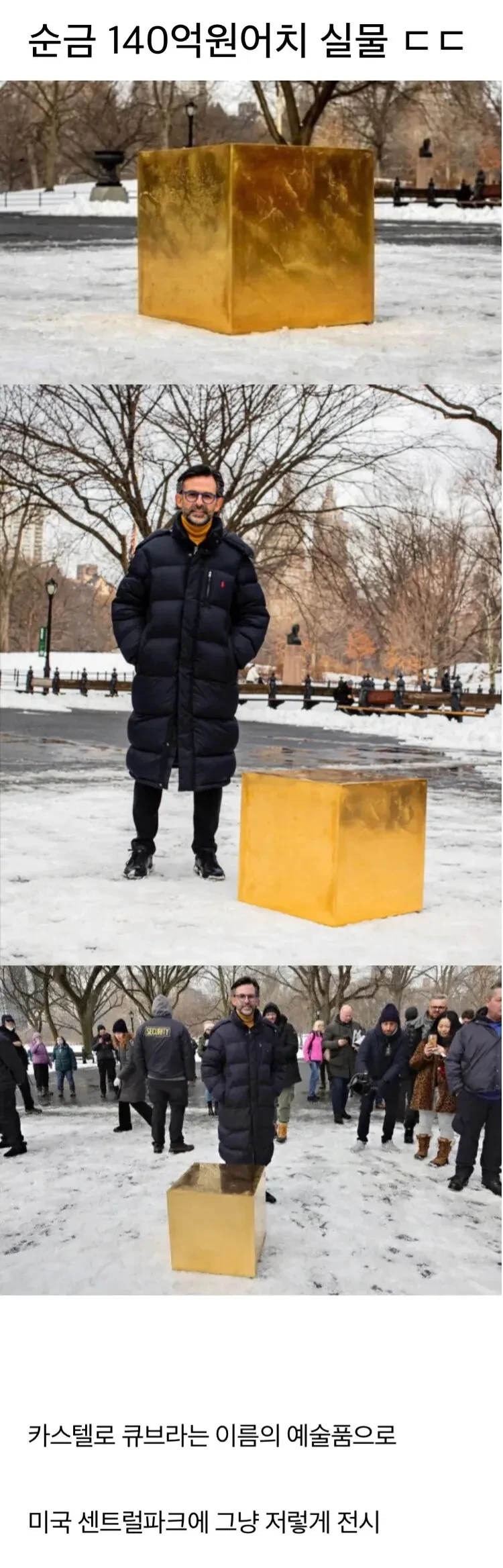 순금 140억원 어치 실물 ㄷㄷㄷ