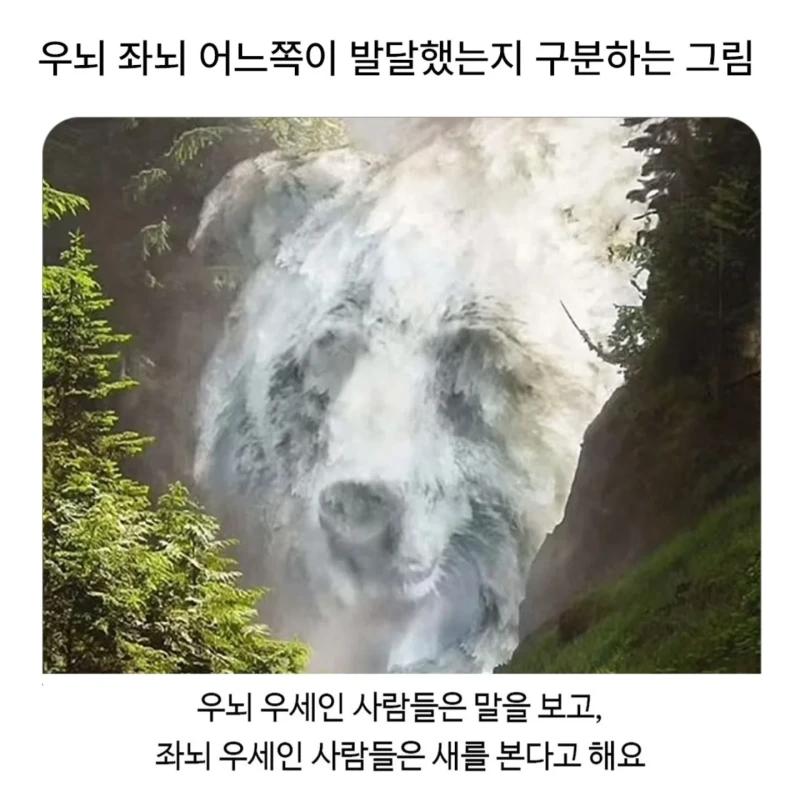우뇌 좌뇌 어느쪽이 발달했는지 구분하는 그림