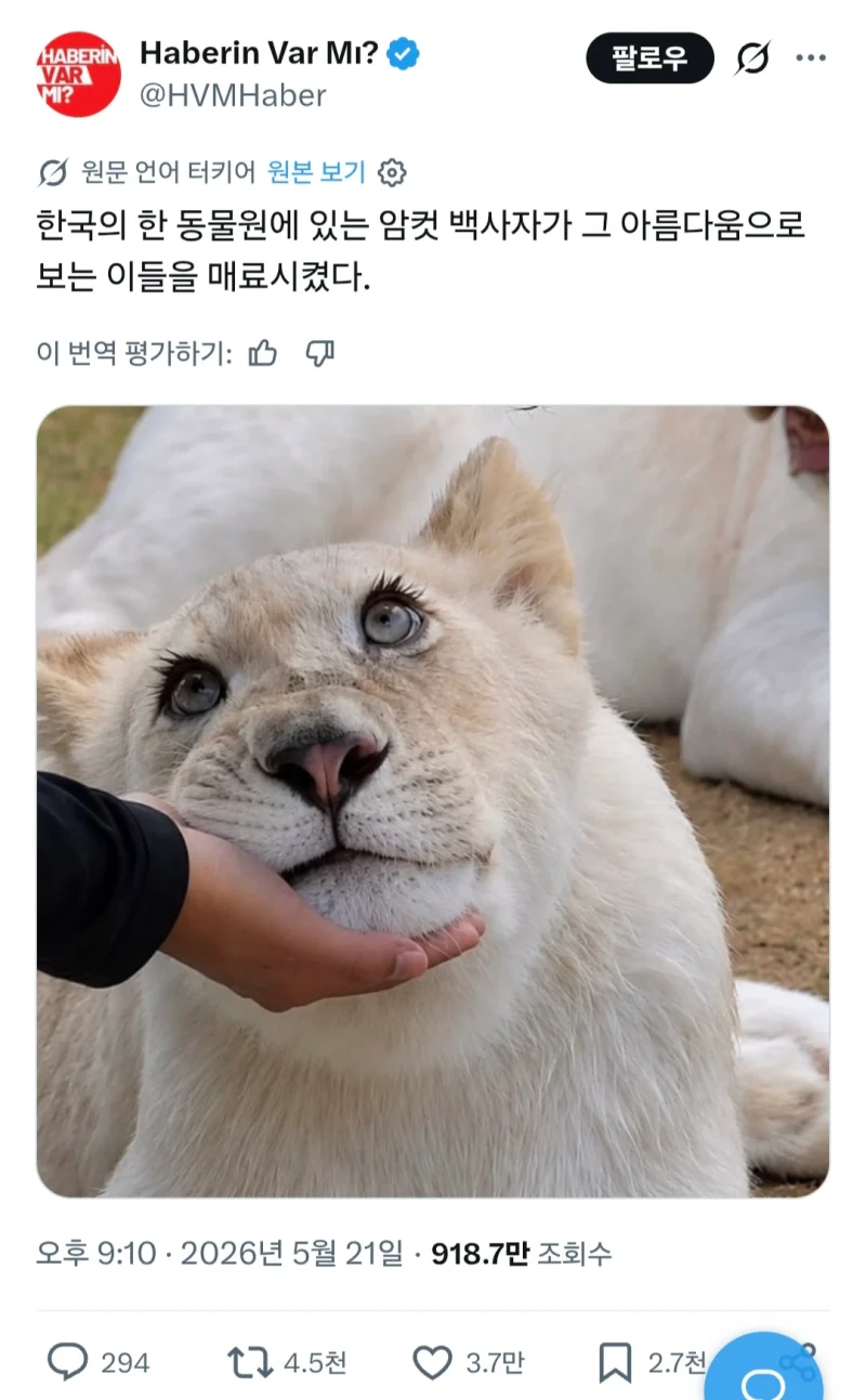 해외에서 화제인 한국 동물원