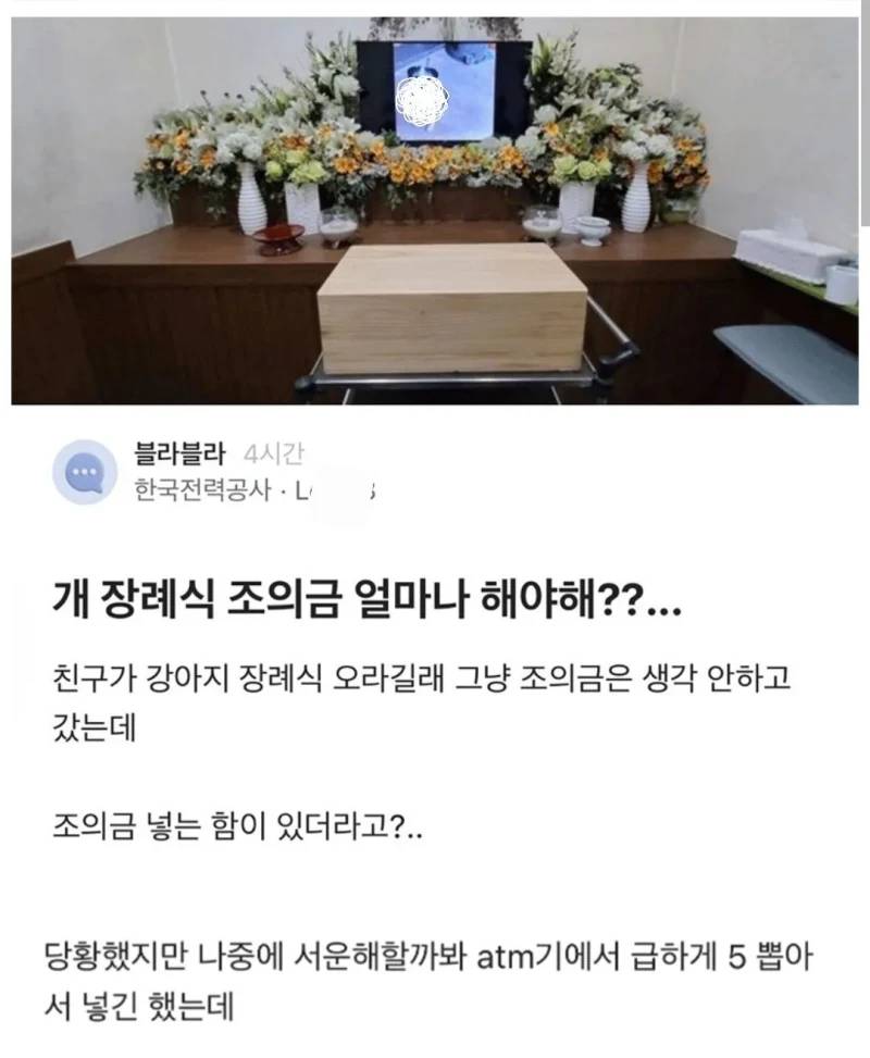 블라에서 논란중인 강아지 장례식 