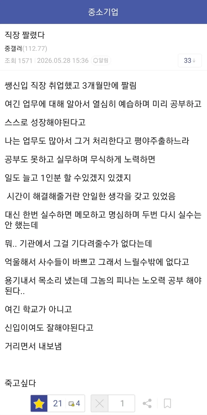신입 취업하고 3개월만에 잘렸다 죽고싶다