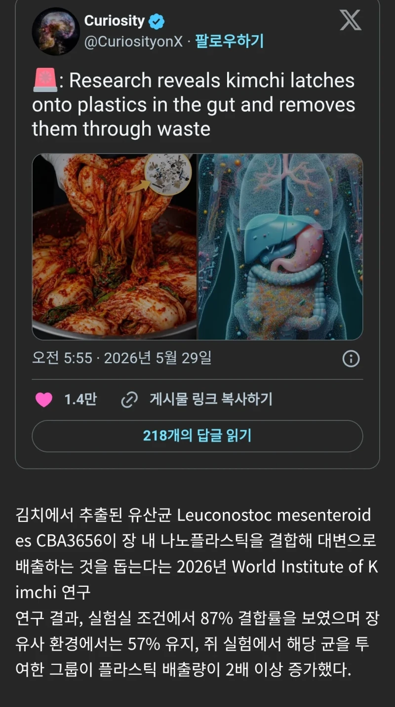 지리는 김치 효능 근황