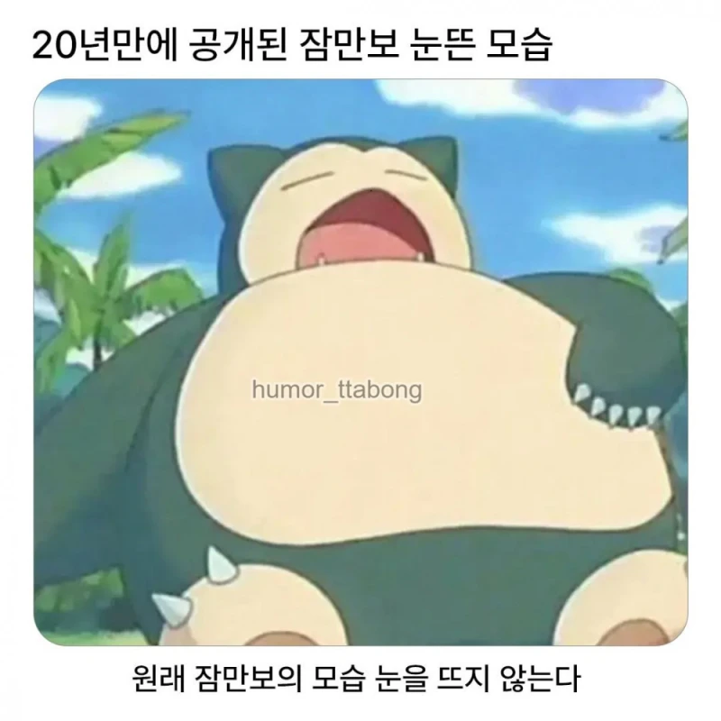 20년만에 공개된 잠만보 눈뜬 모습