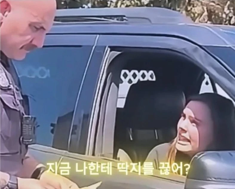 교통 딱지 끊는 천조국 경찰의 수준 높은 패드립