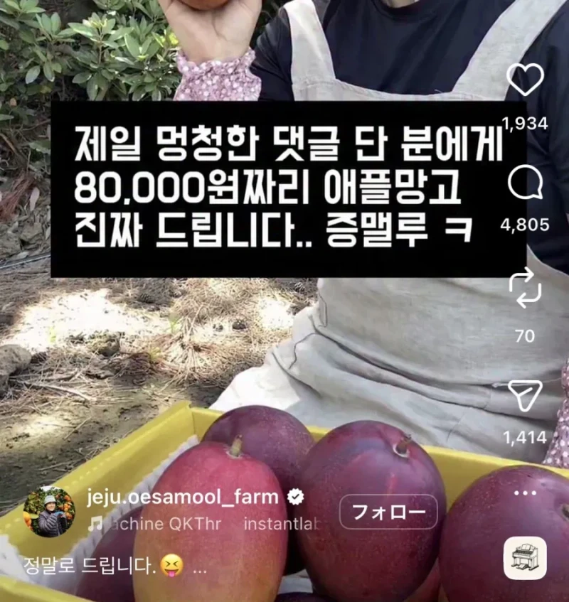 제일 멍청한 댓글 단 분에게 애플망고 드림