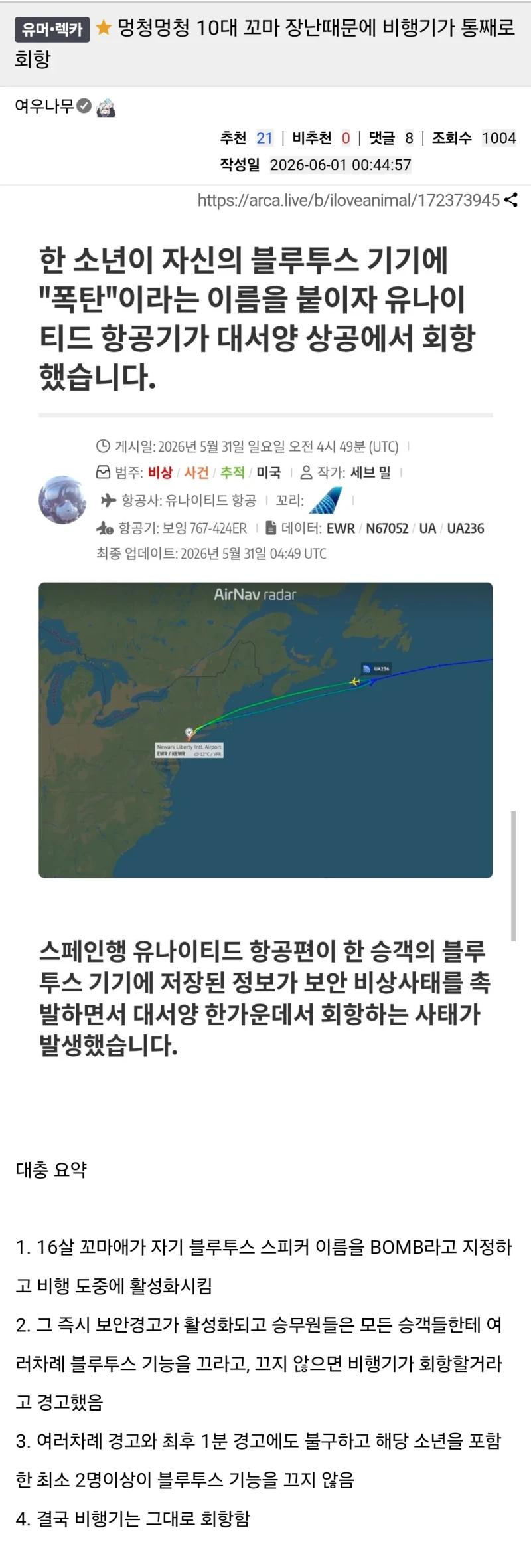 10대 꼬마의 장난 때문에 비행기가 회항