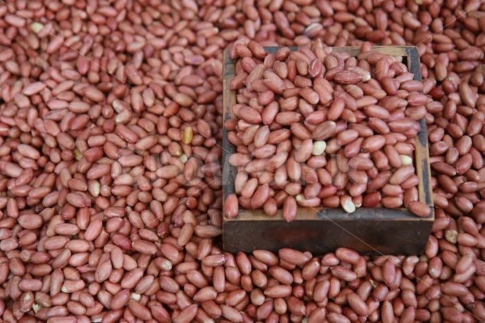 안쓰이는것 같은데 일상에서 엄청 흔하다는 옛날부피-2