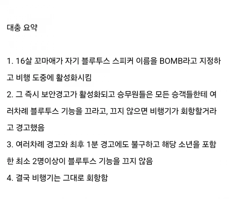 10대 꼬마의 장난 때문에 비행기가 회항한 사건 -2