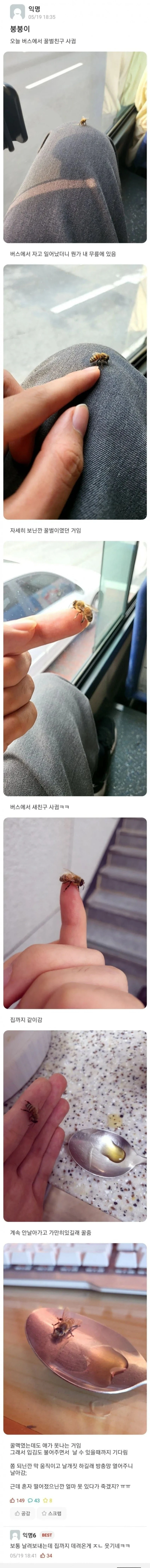 꿀벌 친구를 사귄 사람