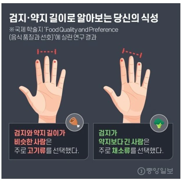 손가락 길이로 식성을 알수있음