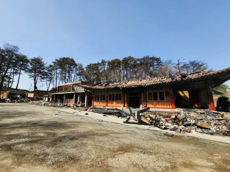 요즘 지어지는 절 근황 