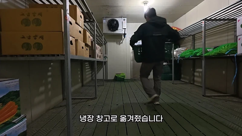 취업했는데 4시간 만에 잘림-9