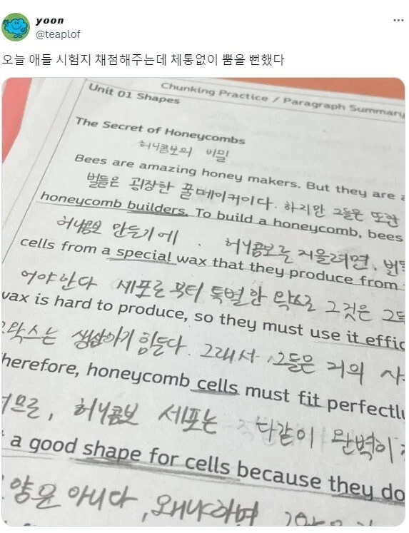 애들 시험지 채점하다 체통없이 뿜을 뻔함