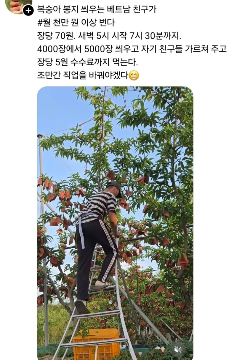 한국와서 월 천 버는 베트남 노동자
