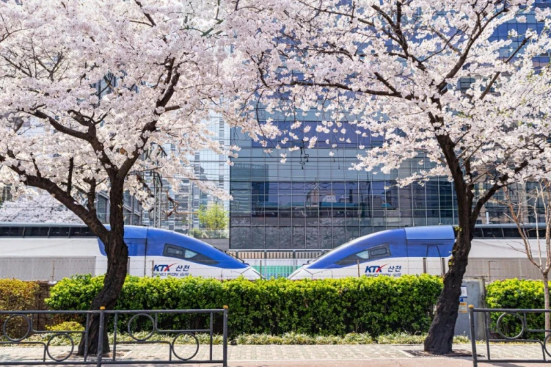 이번주 공개된 2026 철도사진공모전 입선작-3