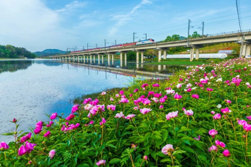 이번주 공개된 2026 철도사진공모전 입선작-30