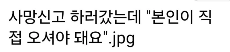 요즘 MZ 공무원 일처리 수준