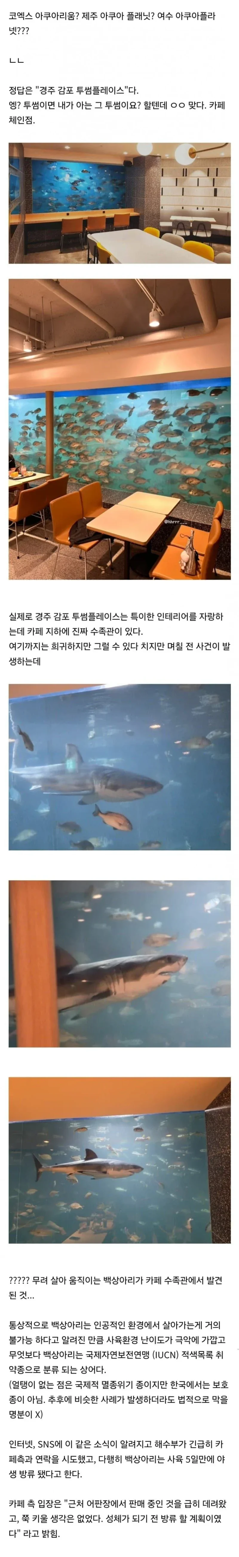 5일간 전세계 1위급이었던 한국 수족관