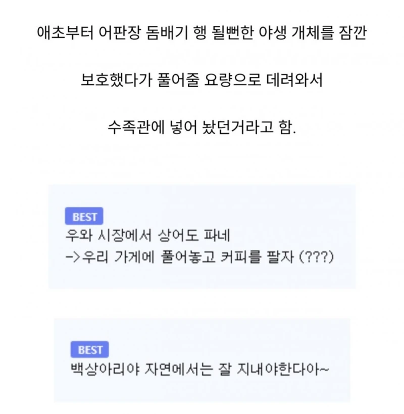 5일간 전세계 1위급이었던 한국 수족관-2