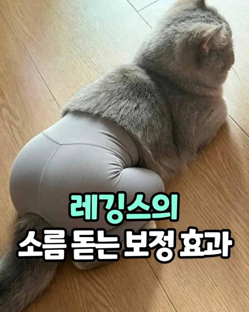레깅스 입은 여자몸매를 믿으면 안 되는 이유