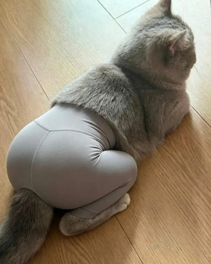레깅스 입은 여자몸매를 믿으면 안 되는 이유-2