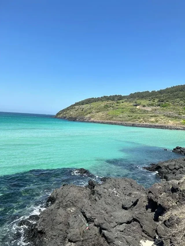 외국인이 찍은 제주도 