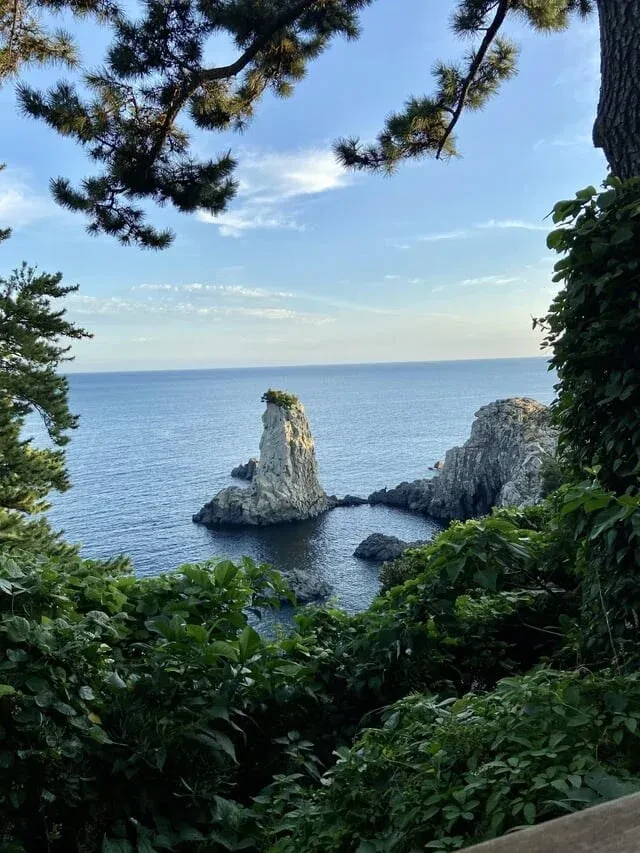 외국인이 찍은 제주도 -10