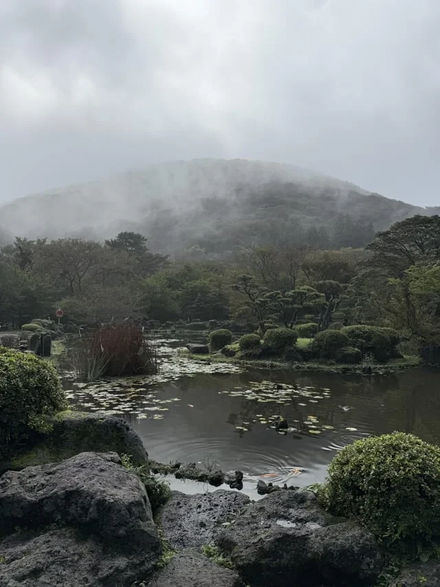 외국인이 찍은 제주도 -14