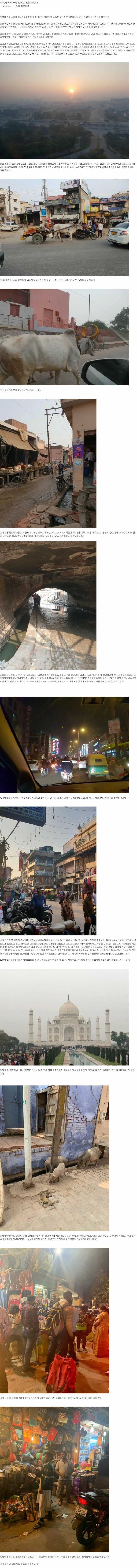 현생에 지옥이 있다면 가장 비슷할 것 같다는 나라