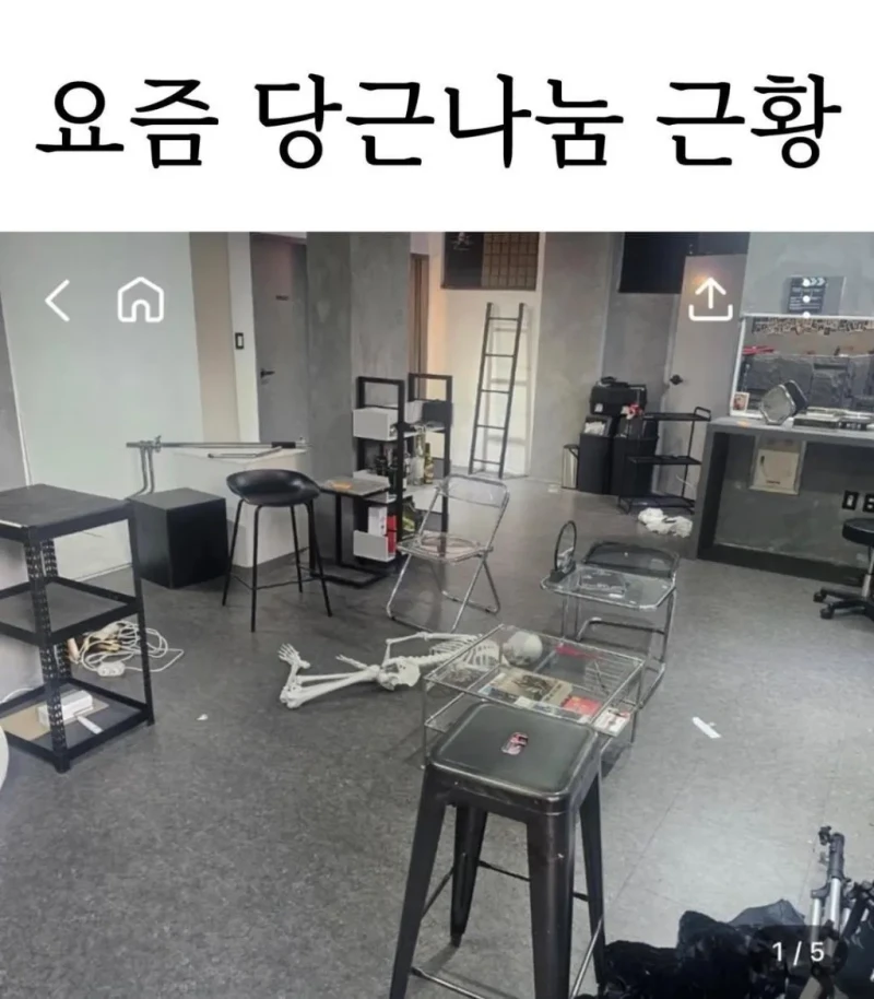 싱글벙글 요즘 당근 나눔 근황