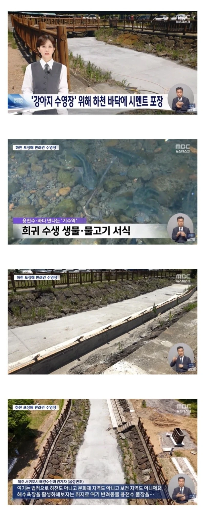 어질어질한 제주도 서귀포 근황 
