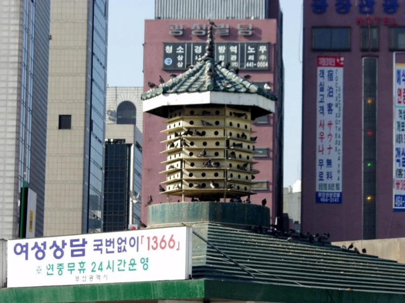 2002 월드컵 당시 대한민국 곳곳 풍경-12