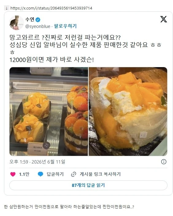 아이디어 좋은거같은 성심당 망고 와르르