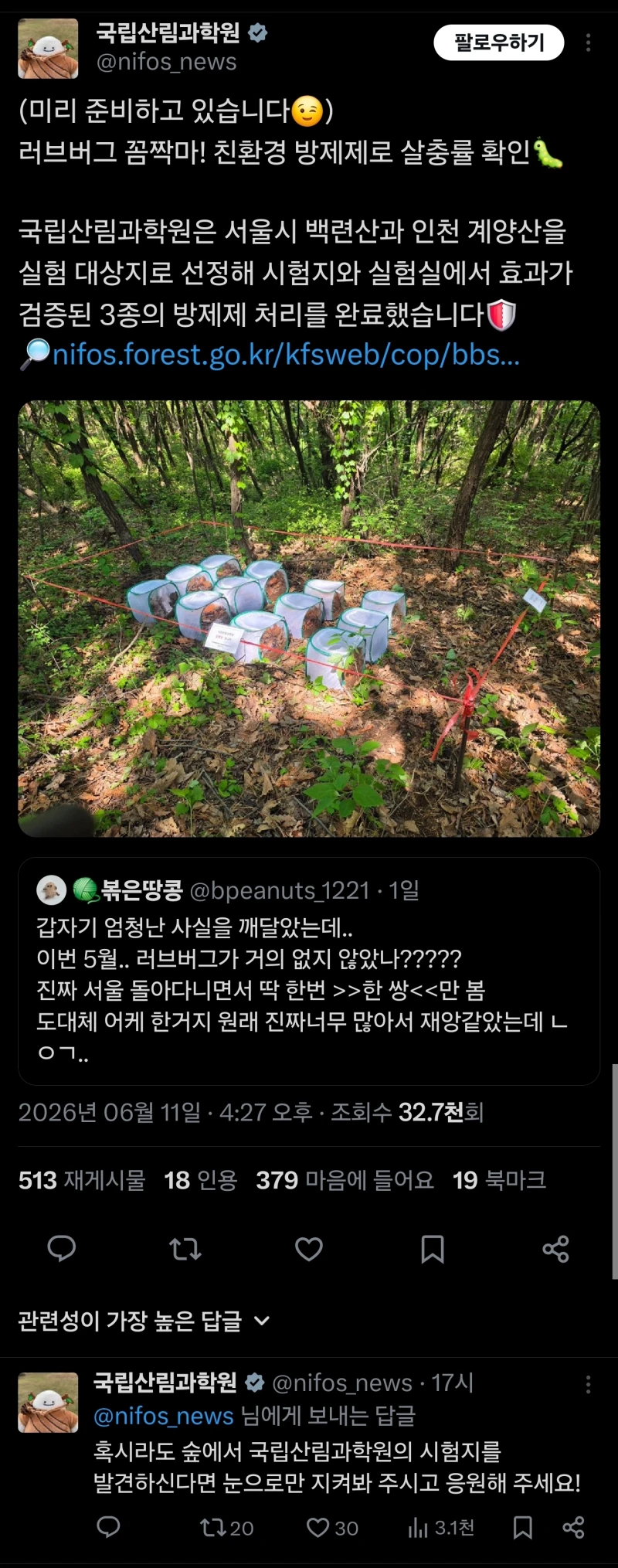 작년에 난리였던 러브버그가 올해는 눈에 안띄는 이유