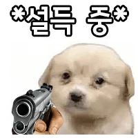 미국에 살면 겪을 수 있는 일-2