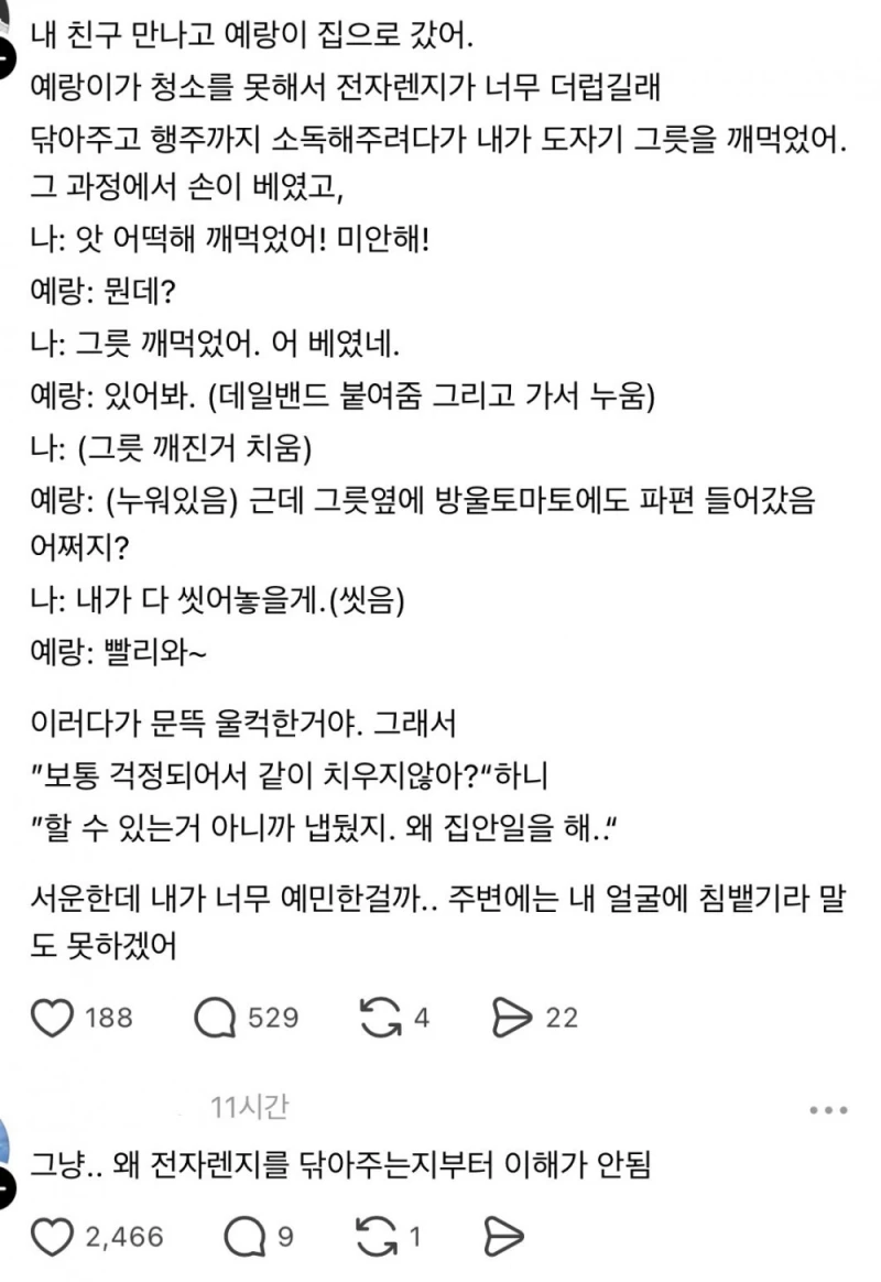 예랑이가 청소를 못해서 전자렌지가 너무 더럽길래
