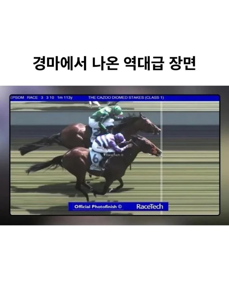경마에서 나온 역대급 장면.jpg