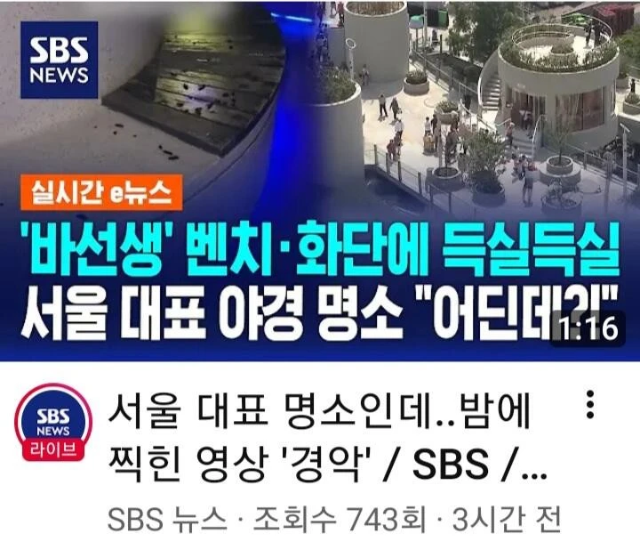 서울로7017 바퀴벌레 바글바글..외국인들 경악-3