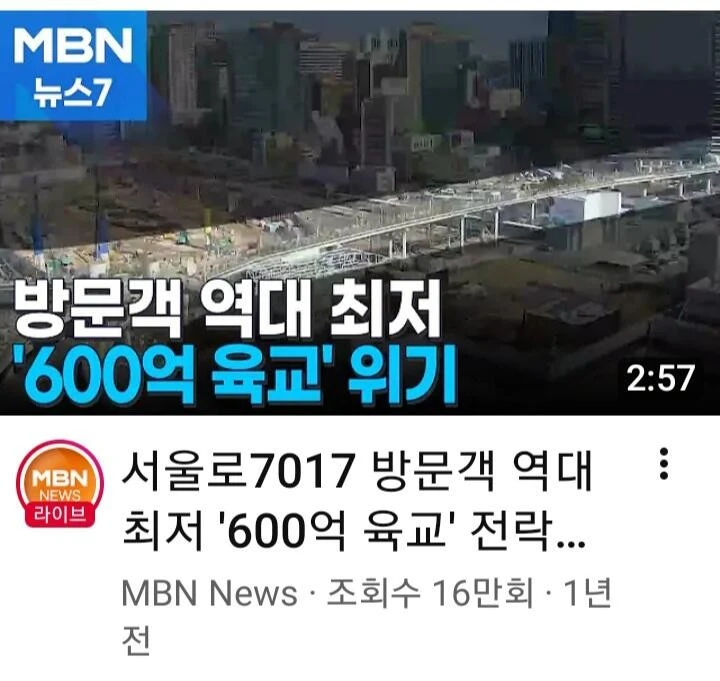 서울로7017 바퀴벌레 바글바글..외국인들 경악-4