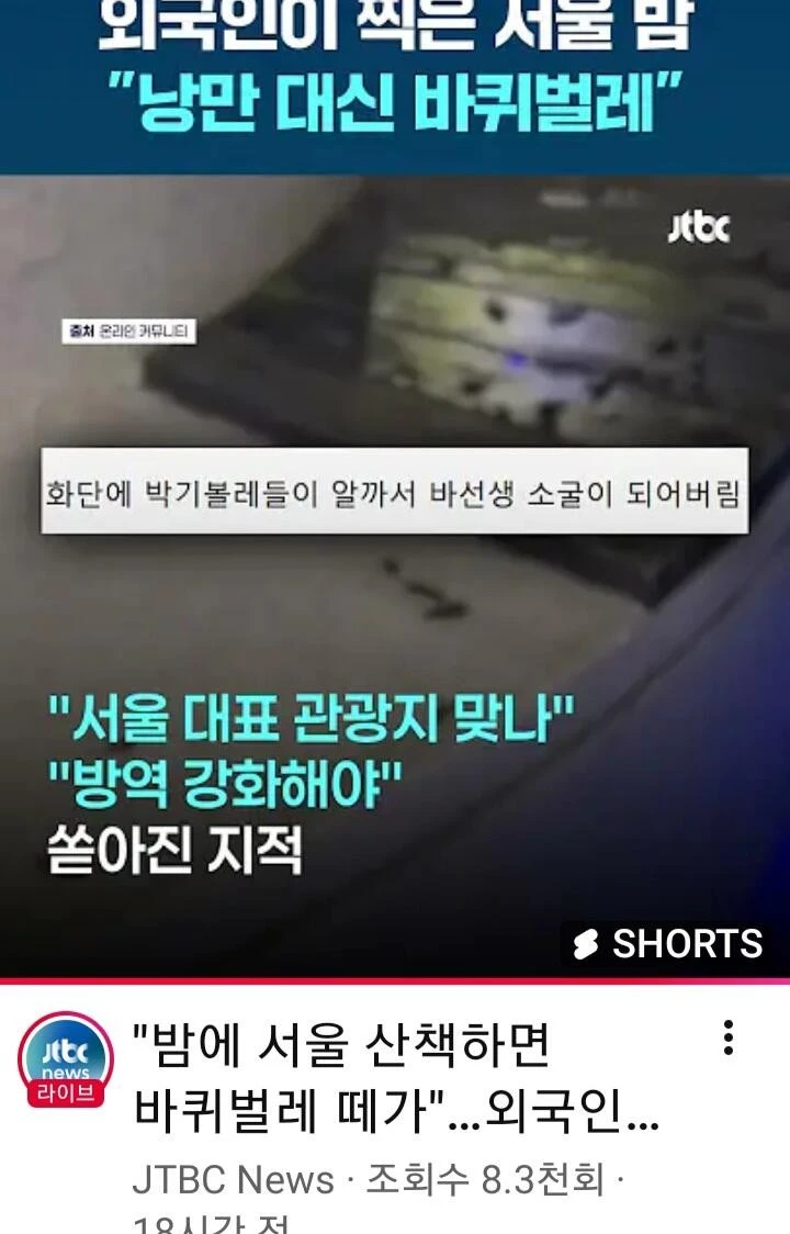 서울로7017 바퀴벌레 바글바글..외국인들 경악-5